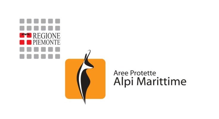 logo APAM_pages-to-jpg-0001 (1)