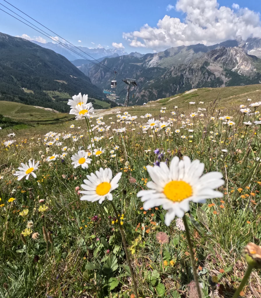 Clean-Up ITA: Valtournenche 2025